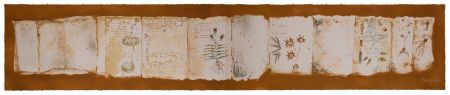 Múltiple Muñoz - Manuscrit II