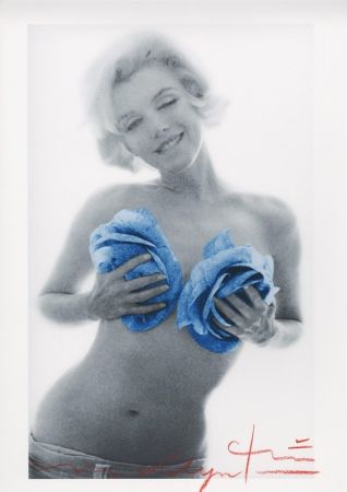Múltiple Stern - Marilyn Monroe blue wink roses