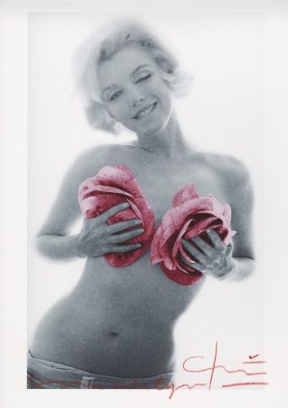 Múltiple Stern - Marilyn Monroe pink wink roses