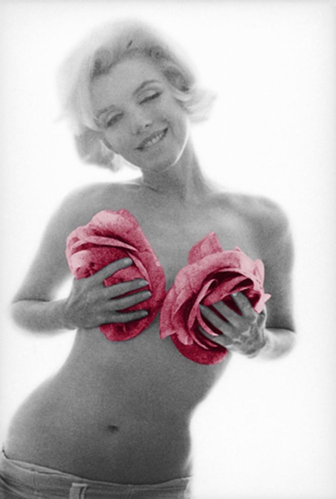 Fotografía Stern - Marilyn Pink Roses Large