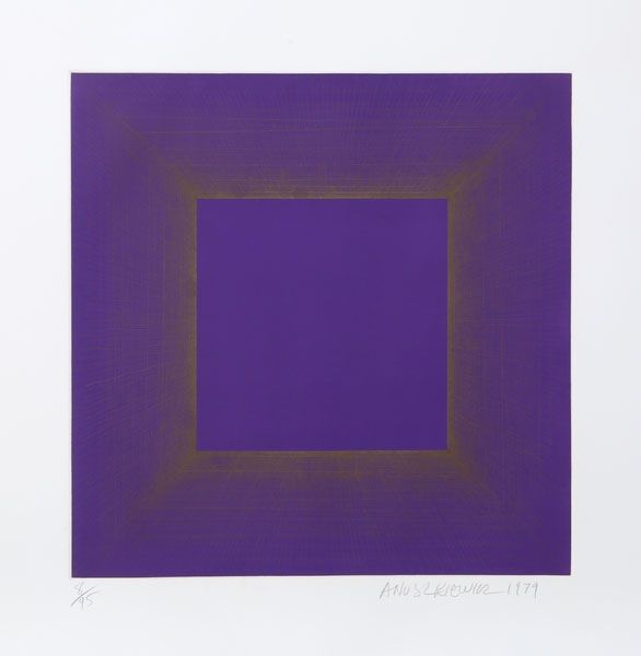 Aguatinta Anuszkiewicz - Midnight Suite (Purple with Silver)