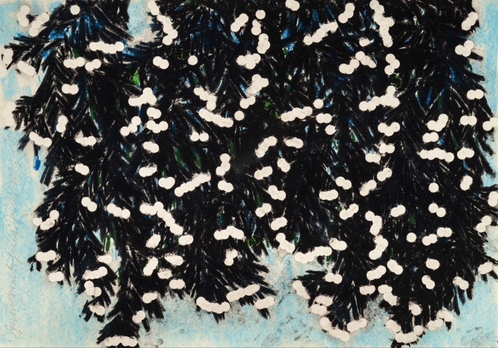 Múltiple Sultan - Mimosa with Green, Jan 25, 2023