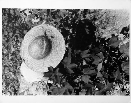 Fotografía Evans - Mississippi