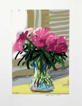 Múltiple Hockney - My Window - iPad drawing 'No. 535', 28th June 2009,