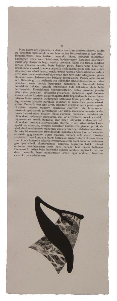 Libro Ilustrado Baroja-Collet - Neguko kronika hegoaldeko ordeketan
