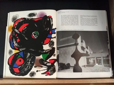 Libro Ilustrado Miró - No 46
