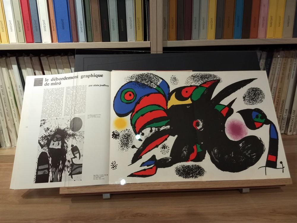 Libro Ilustrado Miró - No 47