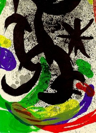 Libro Ilustrado Miró - Oeuvre gravé et lithographié
