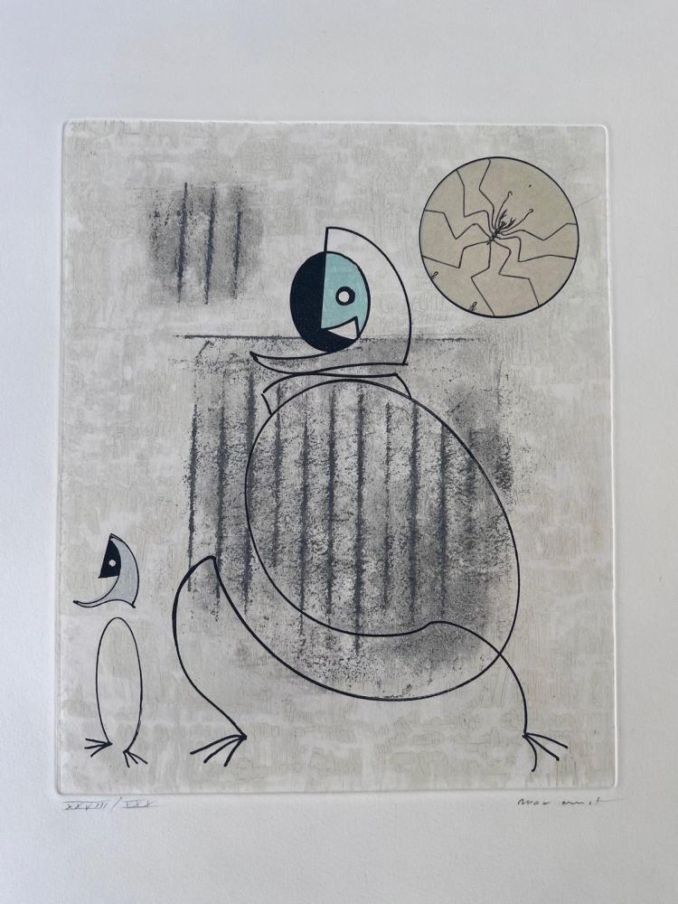 Aguafuerte Y Aguatinta Ernst - Oiseaux en péril 