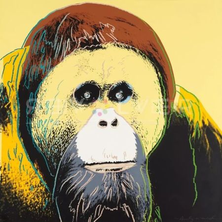 Serigrafía Warhol - Orangutan 299