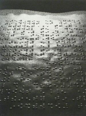 Fotografía Fontcuberta - Paisatge braille