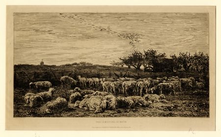 Grabado Daubigny - Parc à moutons:  le matin, in 