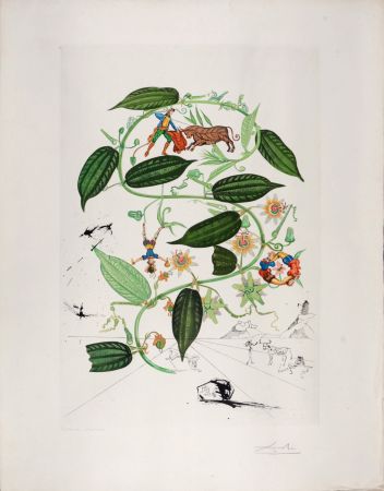 Grabado Dali - Passiflora Lariguera, 1969 - Hand-signed!
