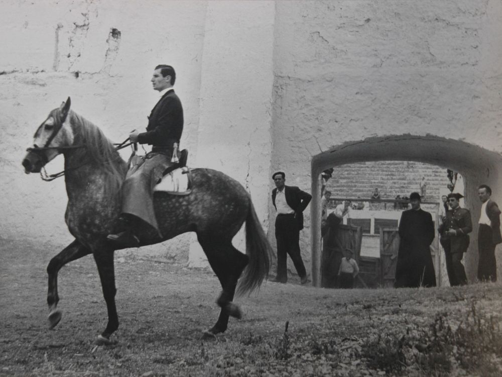 Fotografía Català-Roca - Pati de cavalls