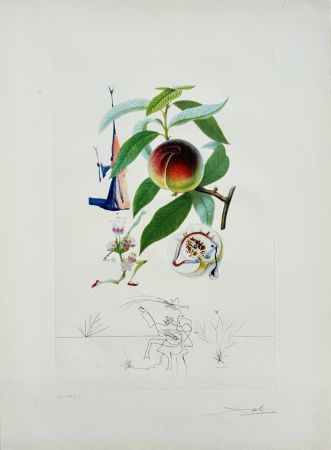 Litografía Dali - Penitent Peach-tree from Flordali suite