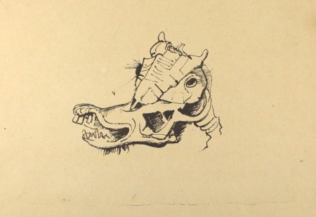 Litografía Hofer - Pferdeschädel / Horse Skull
