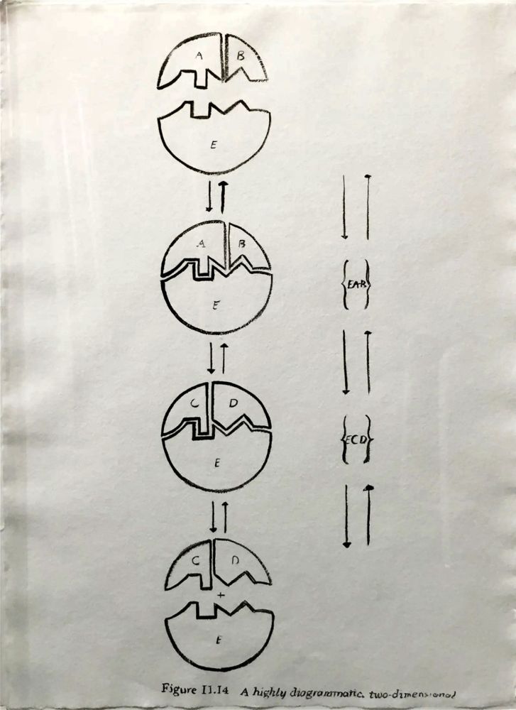 Múltiple Warhol - Physiological Diagram