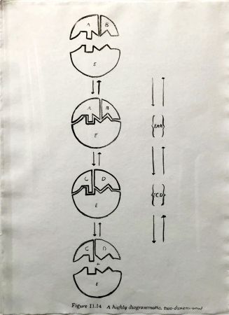 Múltiple Warhol - Physiological Diagram