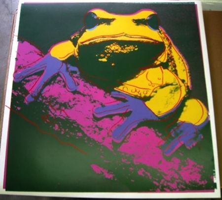 Serigrafía Warhol - Pine Barrens Tree Frog 294 by Andy Warhol