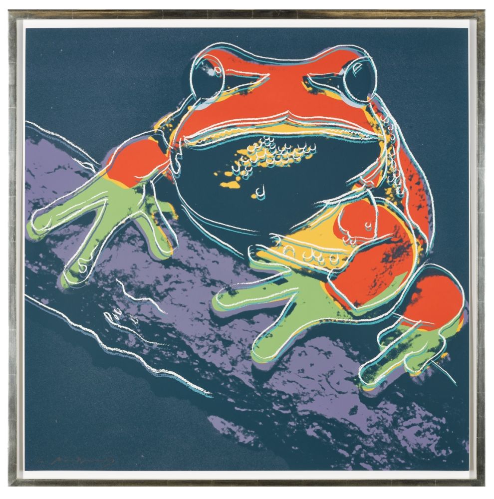 Serigrafía Warhol - Pine Barrens Tree Frog (FS II.294)