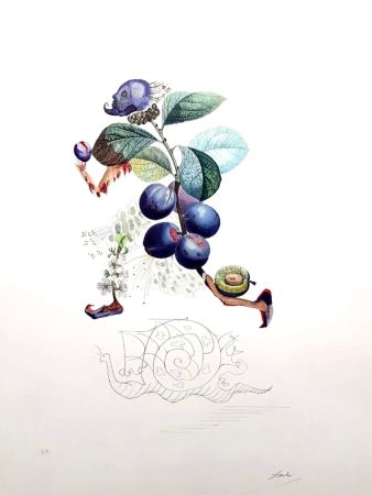 Litografía Dali - Plum