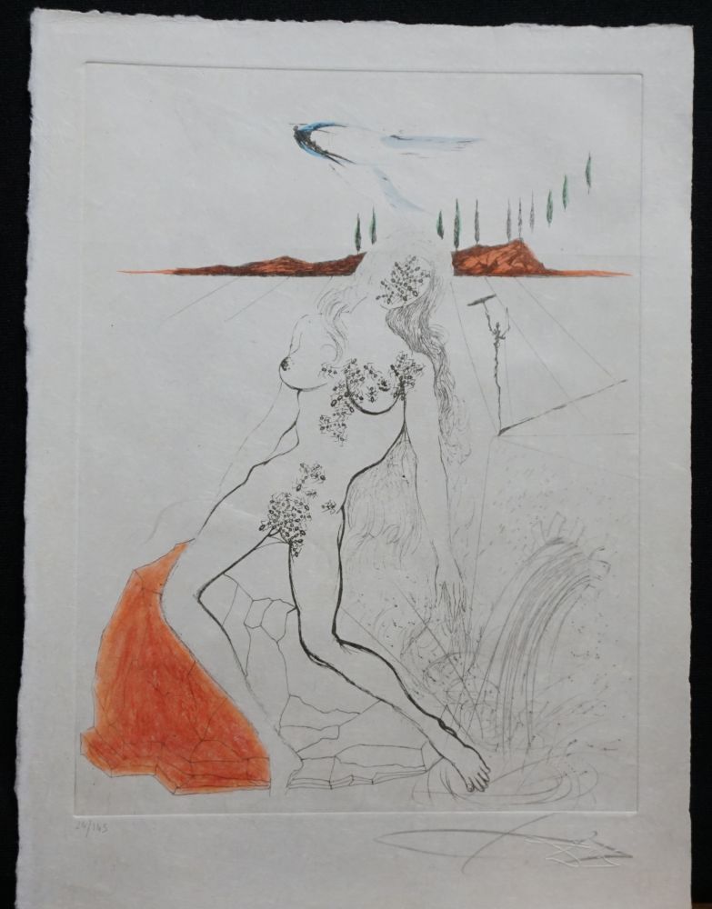 Grabado Dali - Poems Secrets Nude at The Fountain