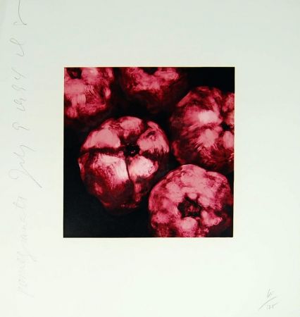 Serigrafía Sultan - Pomegranates