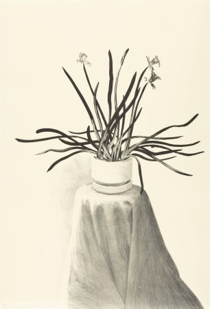 Litografía Hockney - Potted Daffodils