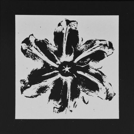 Serigrafía Robierb - Power Flower (Black)