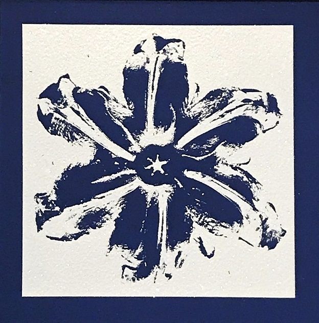 Serigrafía Robierb - Power Flower (Blue)