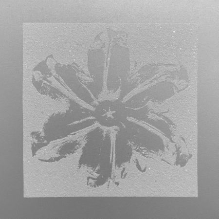 Serigrafía Robierb - Power Flower (Silver)