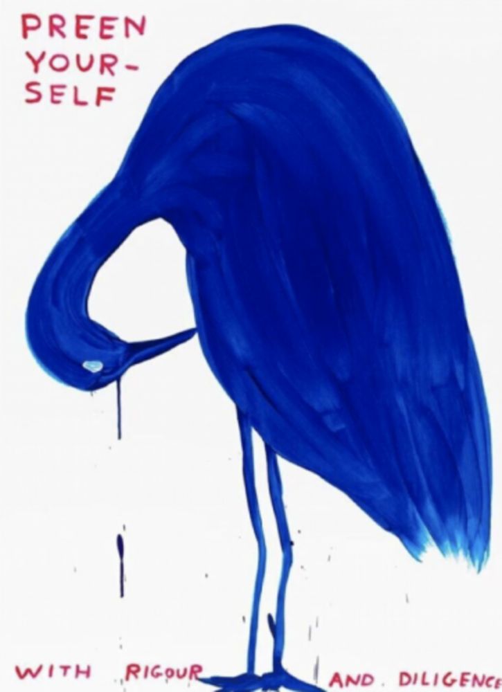 Serigrafía Shrigley - Preen Yourself
