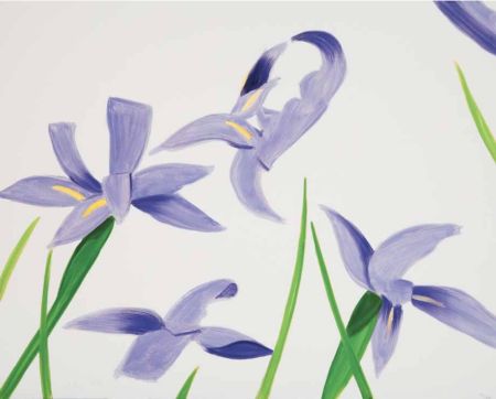 Sin Técnico Katz - Purple Irises on White