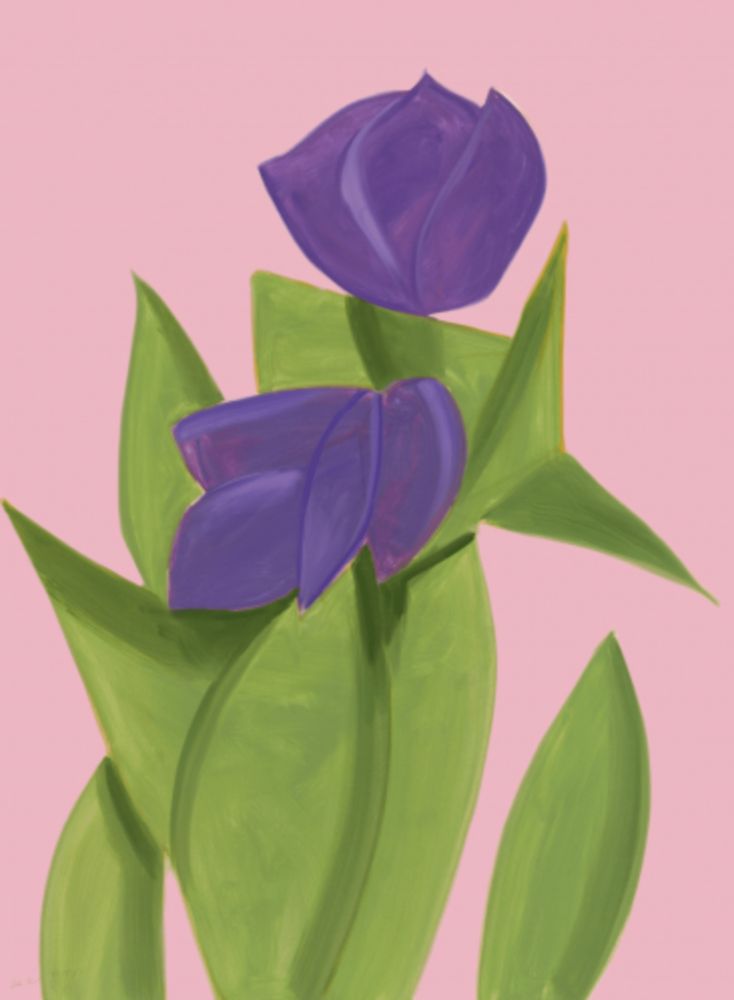 Múltiple Katz - Purple Tulips 2