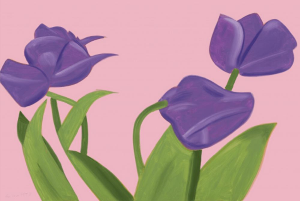Múltiple Katz - Purple Tulips I
