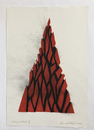 Sin Técnico Nash - Red and black triangle, 2009