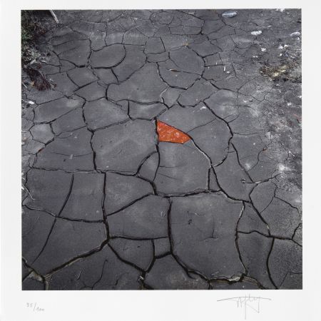 Estampa Numérica Goldsworthy - Red Leaves on Cracked earth