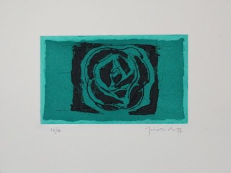Aguafuerte Y Aguatinta Hernandez Pijuan - Rosa verda / Green Rose
