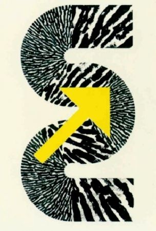 Litografía Sugai - S (Flèche jaune)