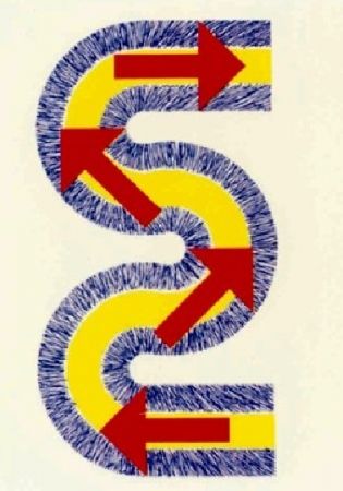 Litografía Sugai - S (Flèches rouges)