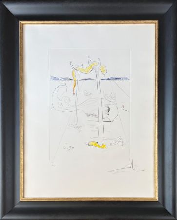 Punta Seca Dali - Salvador Dalí (1904-1989) - Color drypoint etching on Arches paper - 1973