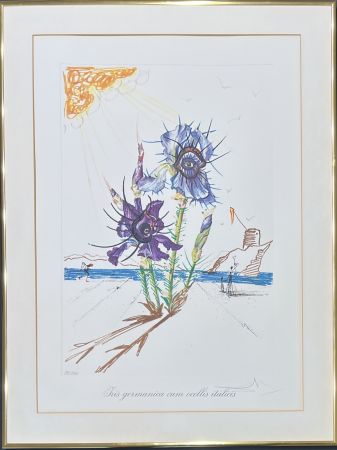 Punta Seca Dali - Salvador Dalí (1904–1989) - Coloured drypoint etching on heliogravures - 1972