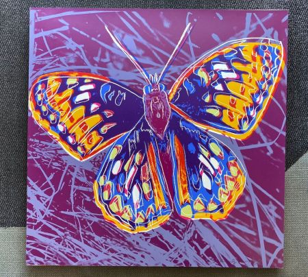 Serigrafía Warhol - San Francisco Silverspot (FS II.298)
