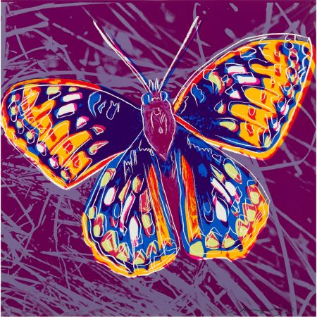 Serigrafía Warhol - San Francisco Silverspot (FS II.298)