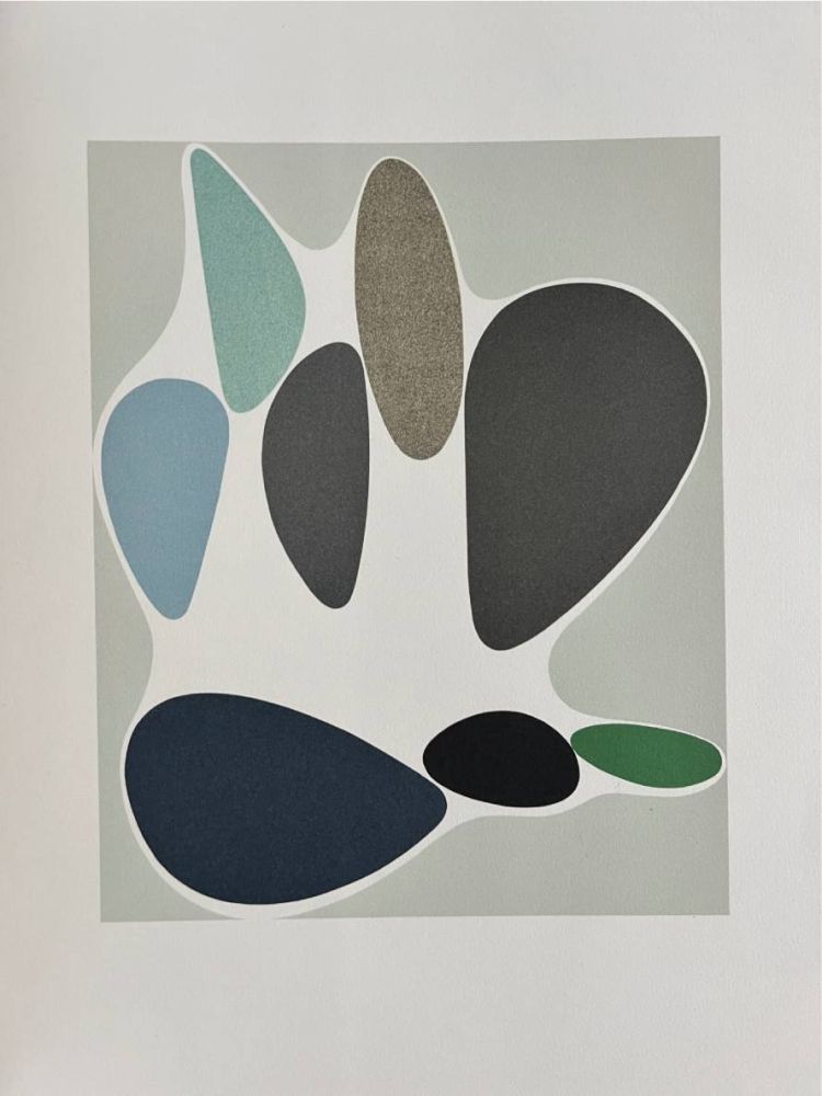 Litografía Vasarely - Sauzon