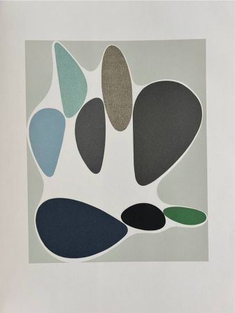 Litografía Vasarely - Sauzon