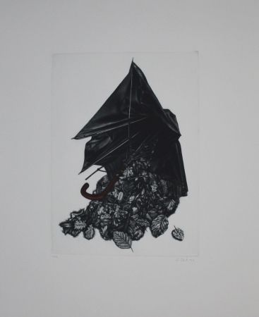 Manera Negra Ebert - Schirm und Blättern
