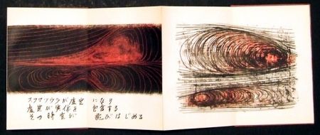 Libro Ilustrado Toyofuku - Segni e vibrazioni