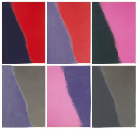 Serigrafía Warhol - Shadows II Complete Portfolio