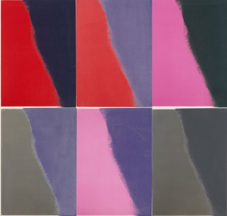 Serigrafía Warhol - Shadows II Complete Portfolio